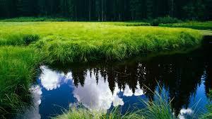 pozee - imagesff.jpeg